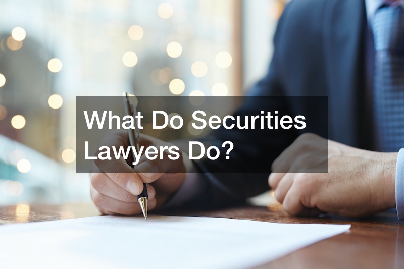 What Do Securities Lawyers Do?