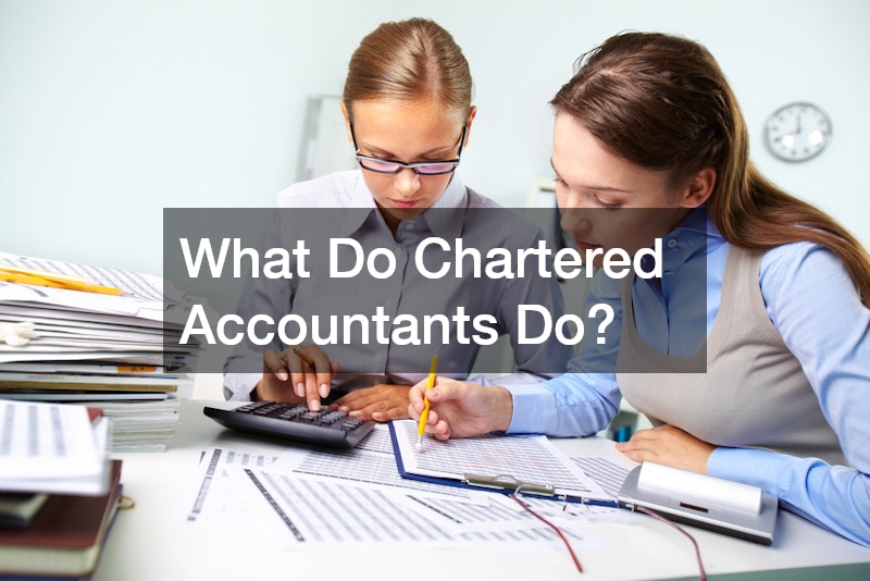 What Do Chartered Accountants Do?